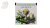 POD-BIUST-DUZA (11).png
